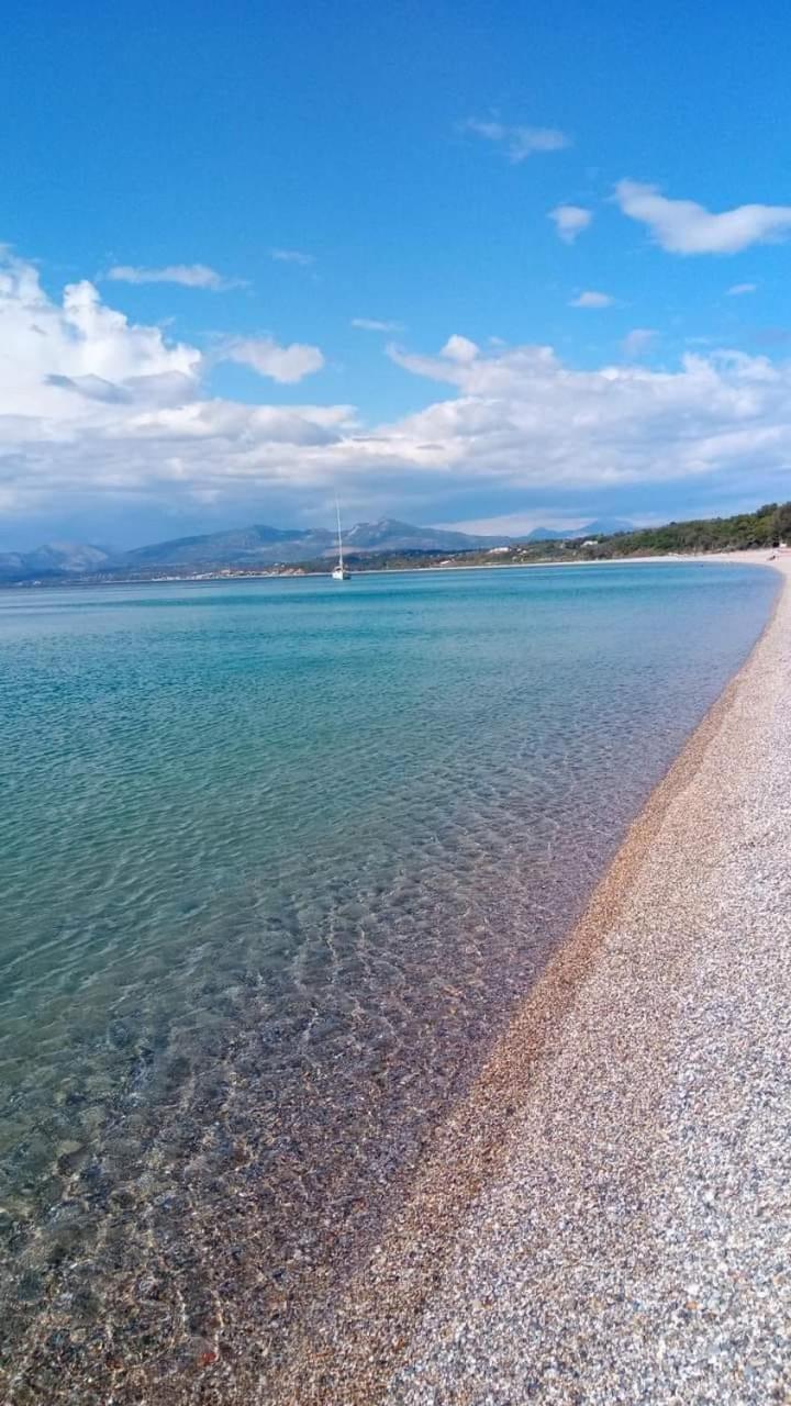 Hotel Fotini Mytikas  Dış mekan fotoğraf