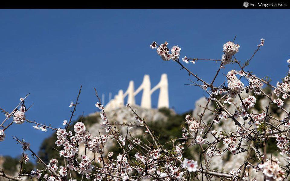 Hotel Fotini Mytikas  Dış mekan fotoğraf